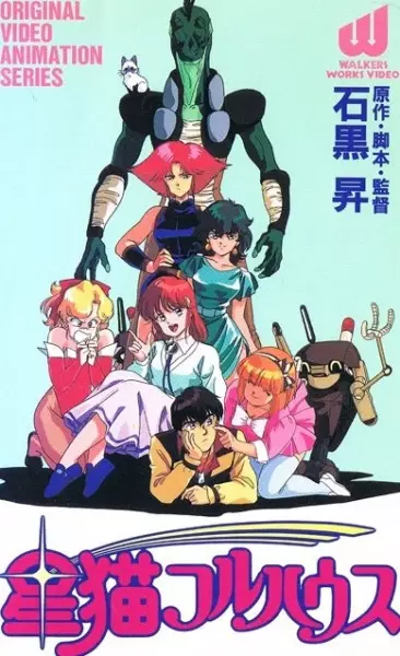 Hoshi Neko Fullhouse